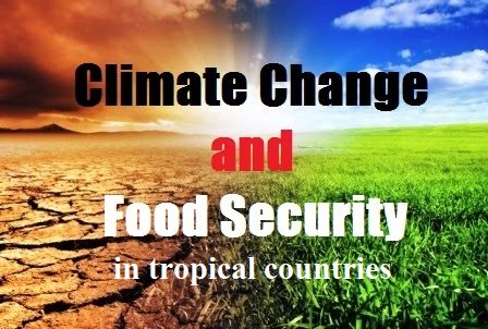 Climate Change and Food Security in tropical countries