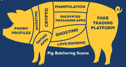 Pig Butchering Scams