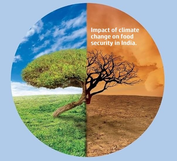 impact of climate change on food security