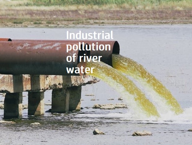 Industrial pollution of river water